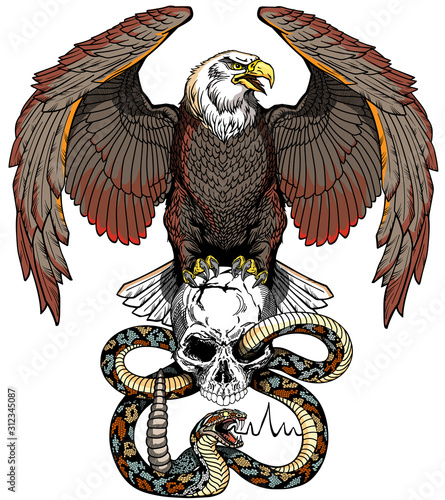 Eagle sitting on the human skull wrapped with the snake. Angry dangerous rattlesnake. Black and white Tattoo style vector illustration. Front view