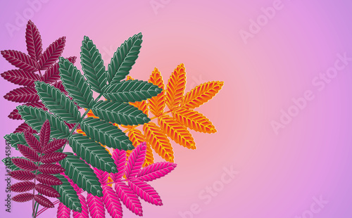 illustration leaves on a colorful background