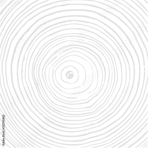 Tree rings background, cut tree trunk, wooden texture, lumber black and white concept. Vector graphics.