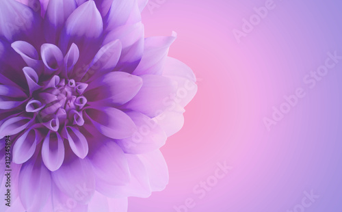 flower on colorful background