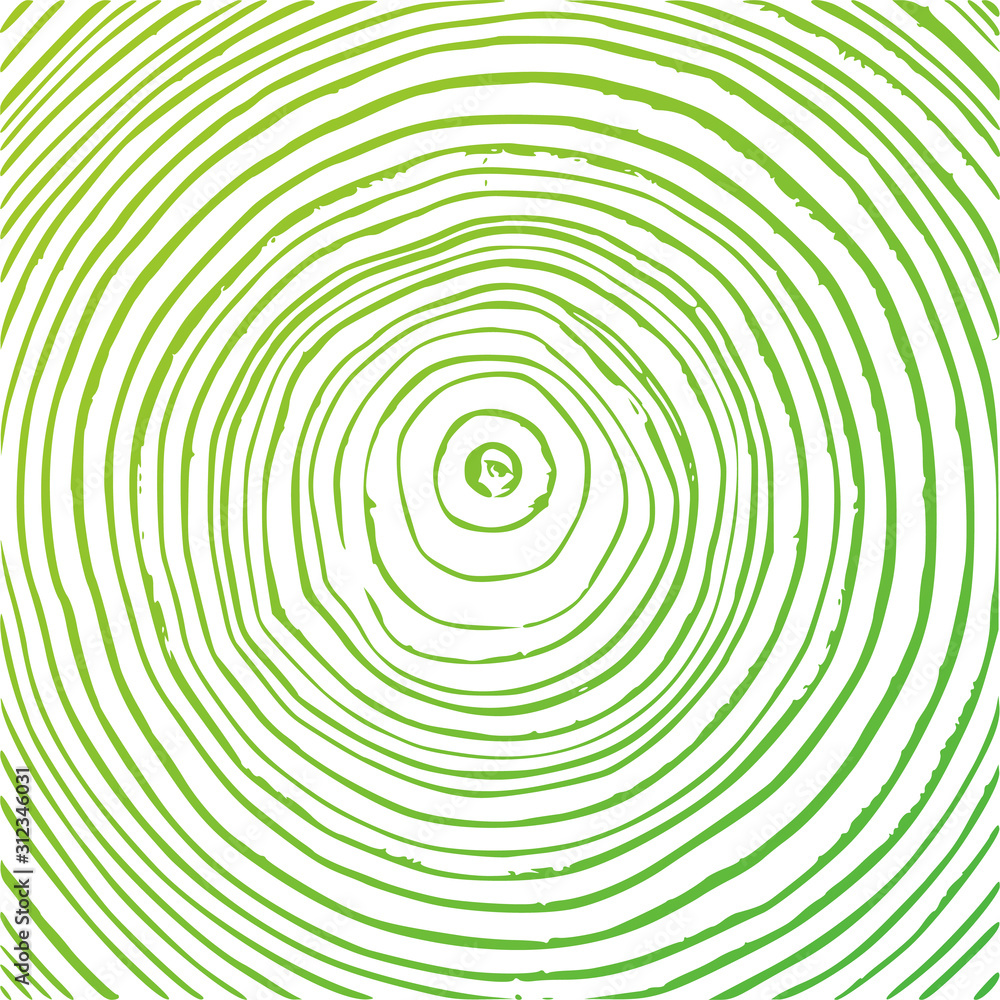 Tree rings background, cut tree trunk, wooden texture, lumber green concept. Vector graphics.