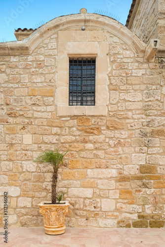 Fototapeta Naklejka Na Ścianę i Meble -  Small palm near old stone wall at Cyprus street