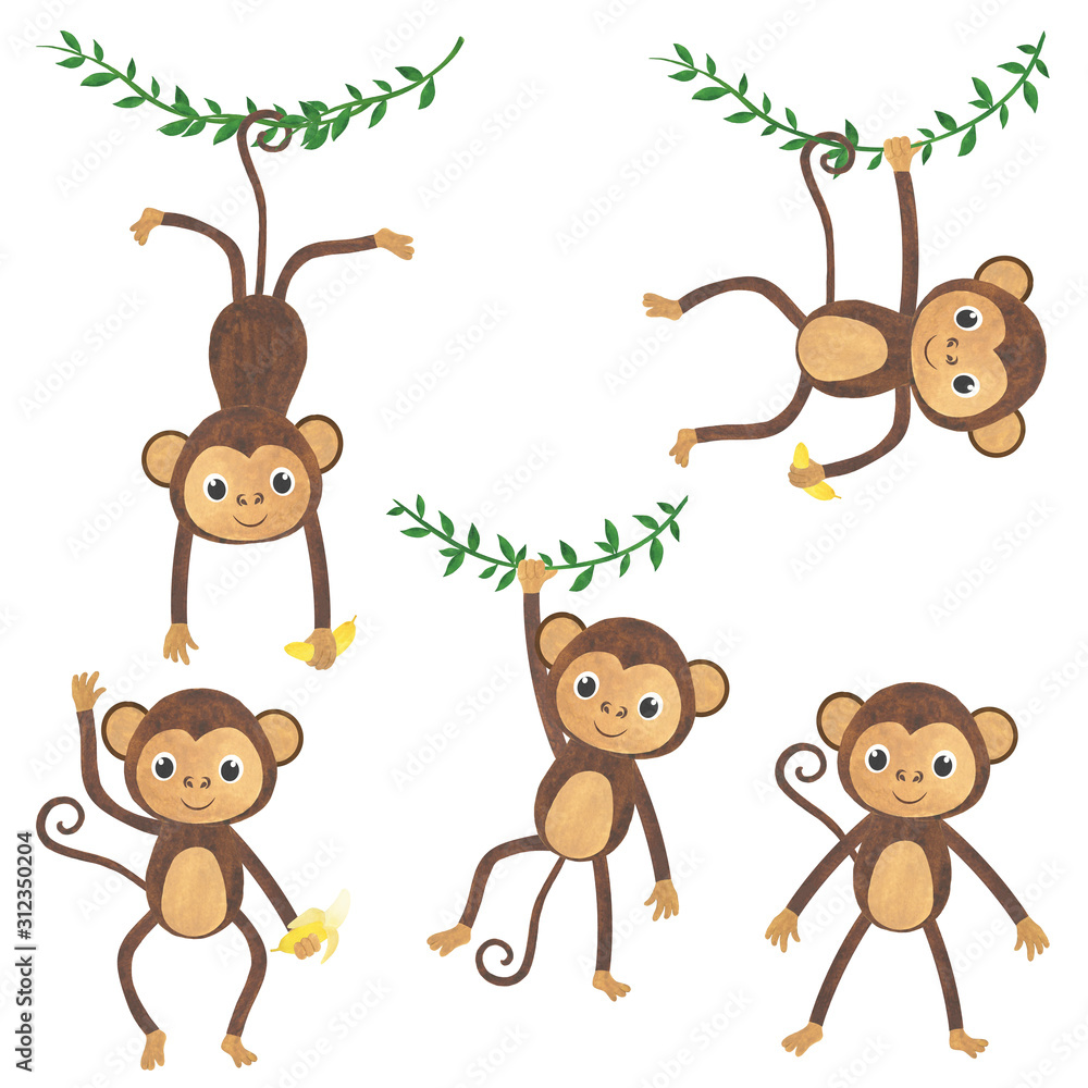 Monkey watercolor set of animals tropics illustrations Monkey watercolor set of animals tropics illustrations