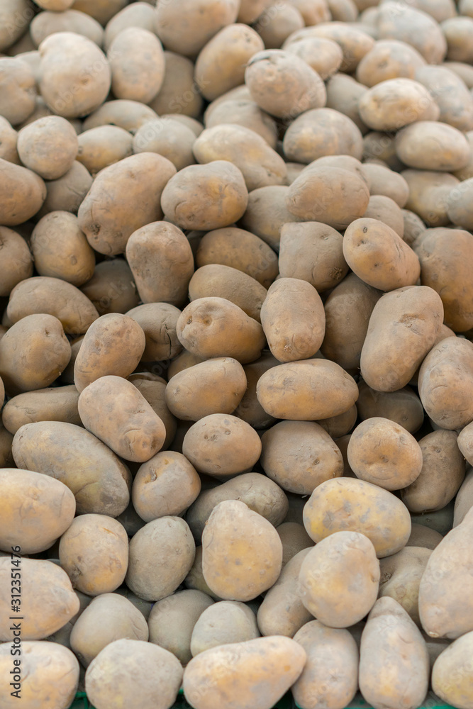 Fresh organic young potatoes. Pile of potatoes stored in cellar. Harvest potatoes lies in cellar. Agricultural products. Big heap of fruits of potatoes. vertical photo Fresh organic young potatoes. Pile of potatoes stored in cellar. Harvest potatoes lies in cellar. Agricultural products. Big heap of fruits of potatoes. vertical photo