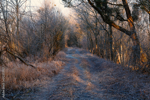 Weg im Auenwald kurz nach Sonnenaufgang mit winterlichem Rauf und zartem Sonnenlicht in orange-blauen Farbtönen © pengelmann