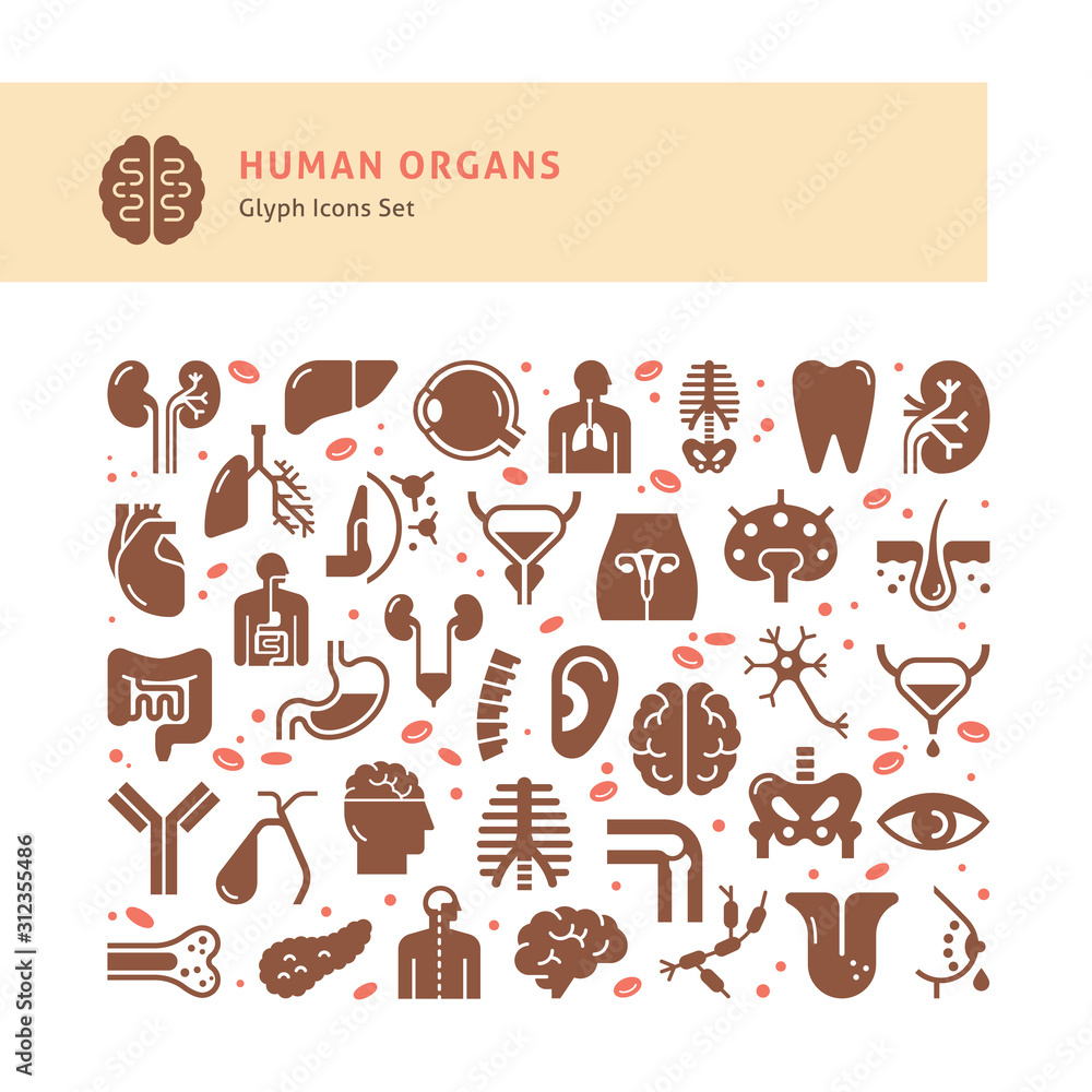 Human internal organs icons. Human internal organs icons.