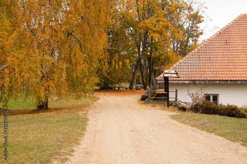 By the road to the village