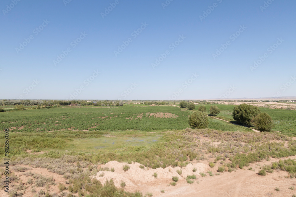 Cotton fields viewed from the Kyzyl Qala fortress (Uzbekistan)