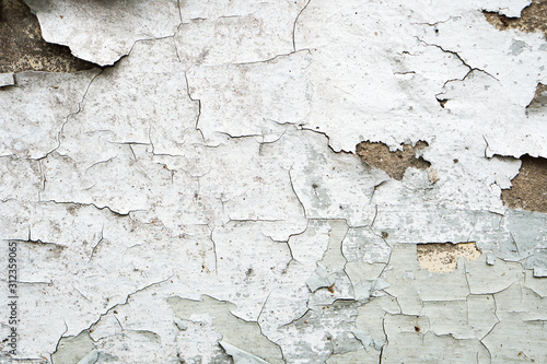 Background wall color peeling lichen stains