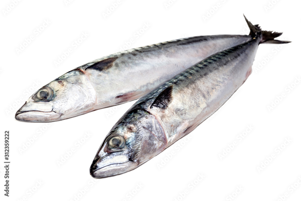 The two mackerel on a white background close-up The two mackerel on a white background close-up