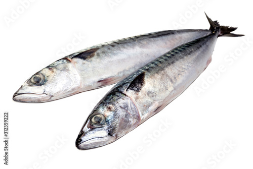 The two mackerel on a white background close-up