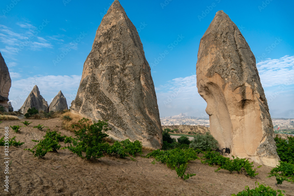 Rose Valley, Cappadocia with Uchisar castle in the background