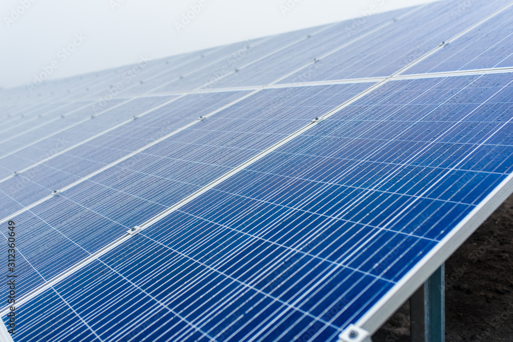 Ecological green  renewable energy. solar panels plant mounted on the ground