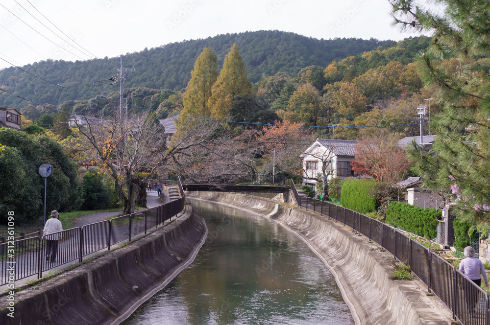Lake Biwa canal and autumn leaves, Yamashina-ku, Kyoto.