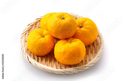 柚子 Yuzu. Japanese citron