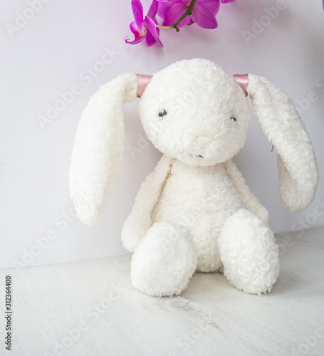 Easter bunny rabbit with orchid flower on white background. © Tani_Bel