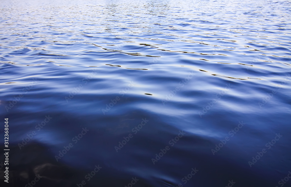 Naklejka premium Deep water in the lake in Latvia, Latgale, East Europe. Summer nature.