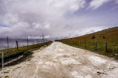 Cotopaxi, Ecuador photo