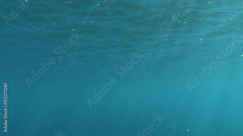 underwater view of a girl falling into the ocean