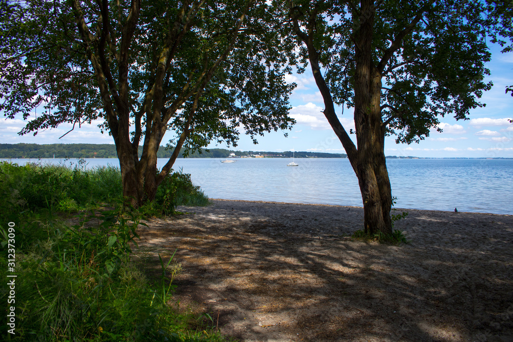 Photography of a beautiful pristine landscape with beach, ocean and trees Photography of a beautiful pristine landscape with beach, ocean and trees