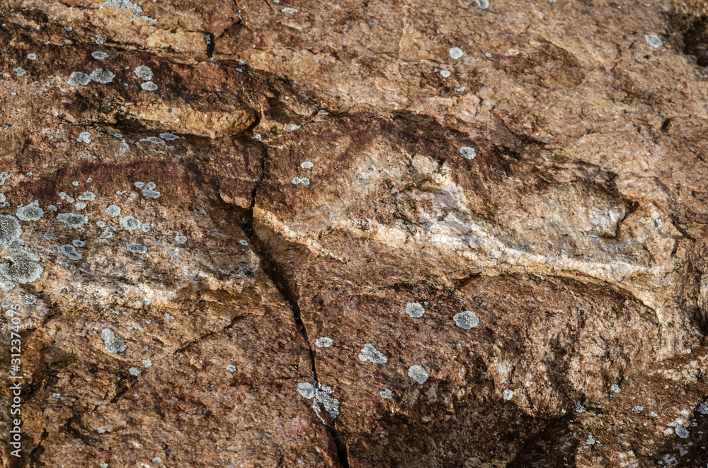 Naklejka premium Granite boulder with surface cracks and splotches of lichen