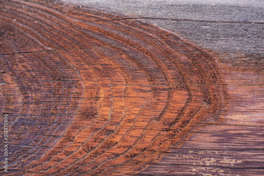 Naklejka premium Texture of old tree with beautiful pattern