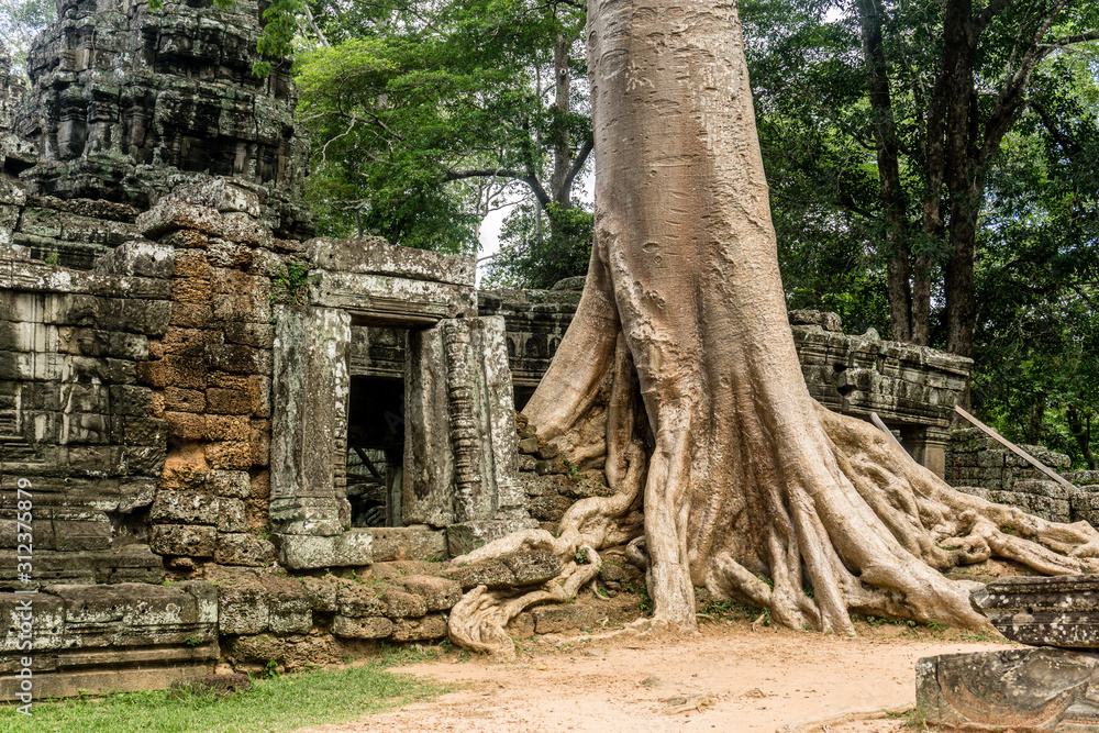 Fototapeta premium Angkor Wat, Cambodia