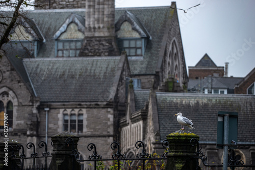 Canvas Print view of the city, church, dublin, ireland,irland