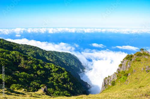 Above the clouds in Fanal, Madeira Island, Portugal. Old laurel trees, laurissilva, on a hill. Laurel forest above the Atlantic ocean on a steep rock. Blue waters of the Atlantic ocean. Sunny day photo