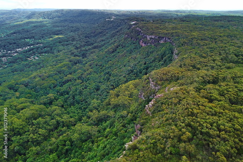 Quadro em tela Illawarra escarpment and its lush forests