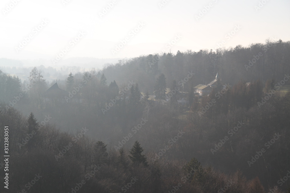 Vue sur la forêt depuis le château de Ferrette Vue sur la forêt depuis le château de Ferrette