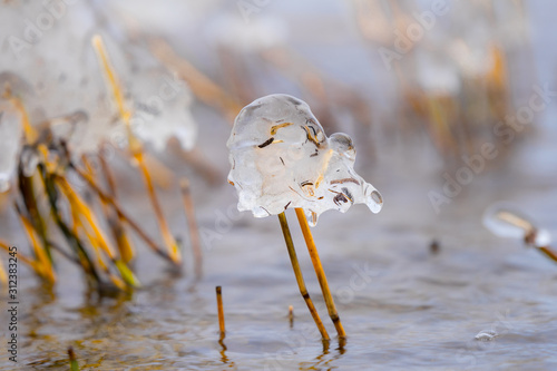 Mushroom like ice caps over straws of reed on the coast. Half transparent dome hat over thin tube, Fragile natural decorations created by temperature fallen below freezing. photo