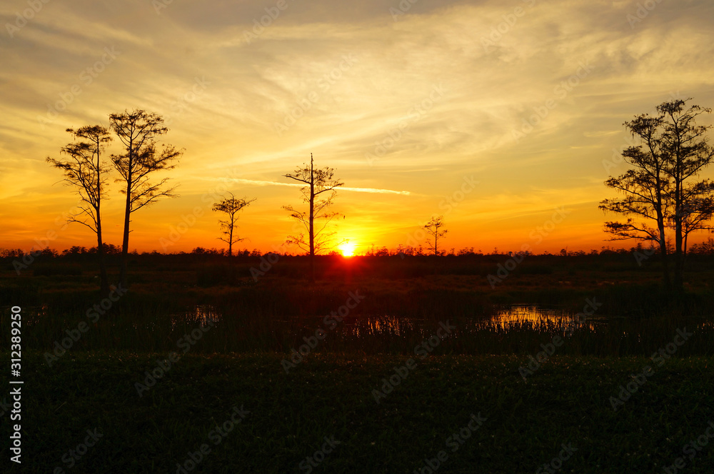 Louisiana swamp sunset and silhouettes