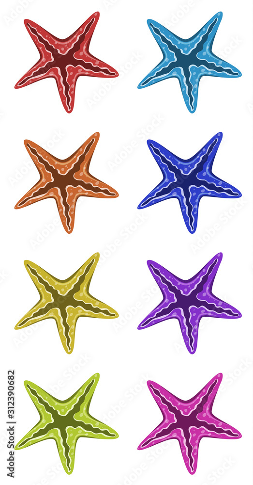 Set of starfish in different colors