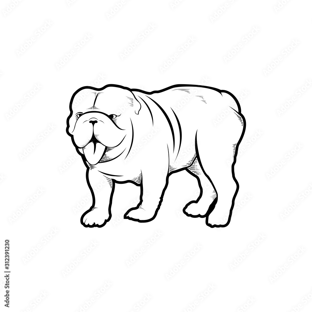 angry bulldog American Portrait vector illustration