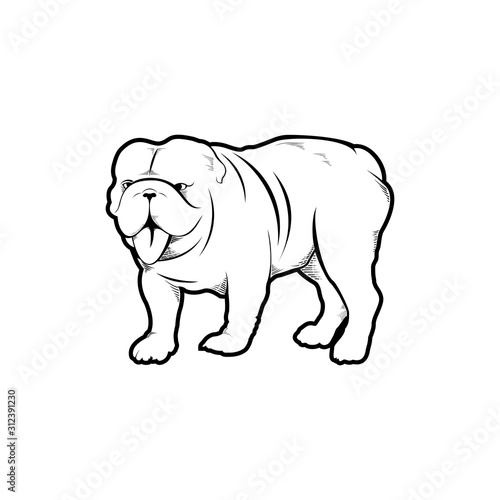 angry bulldog American Portrait vector illustration