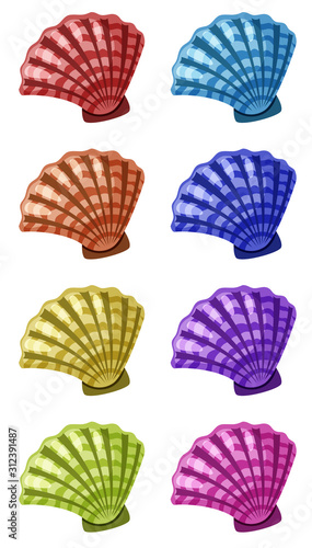 Set of seashells in different colors
