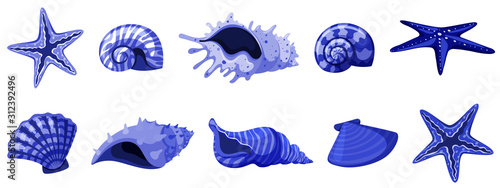Set of isolated seashells in blue color