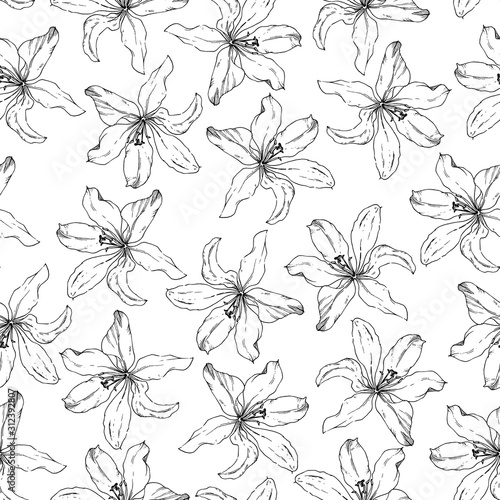 Monochrome seamless pattern with Lily flowers. Floral white and black seamless background.