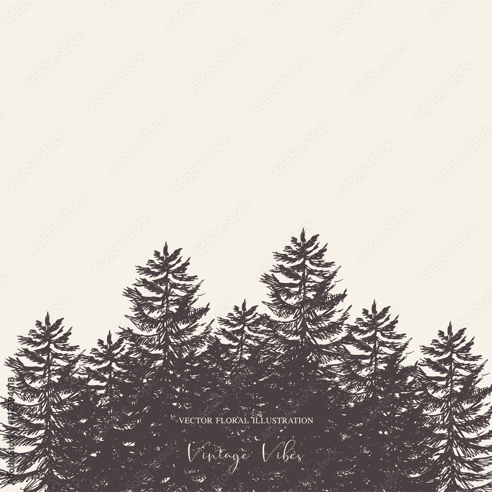 Fototapeta premium Vector natural forest set of evegreen trees