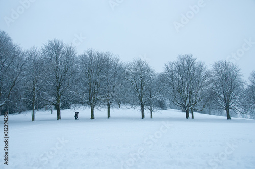 Snow in Wakefield Thornes Park