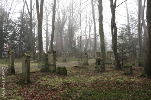 old Jewish graveyard