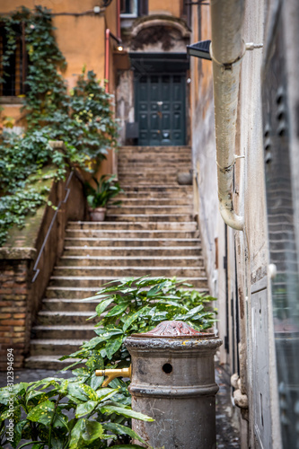 A beautiful Roman courtyard on Coronari street. Selective focus. Rome, Lazio, Italy
