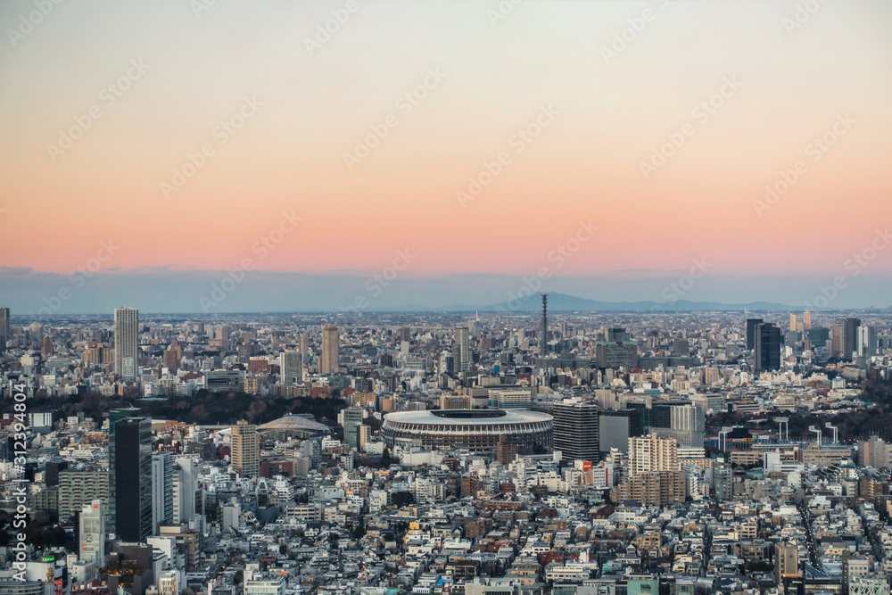 Beautiful landscape of Tokyo during magic hour in the evening.