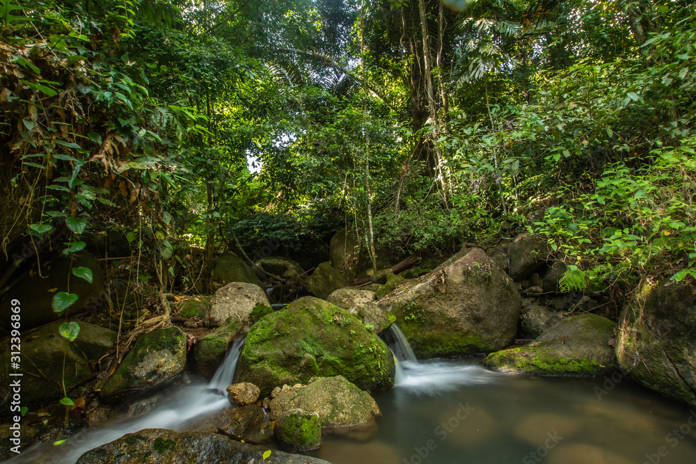 Kathu Waterfall in the tropical forest area In Asia, suitable for walks, nature walks and hiking, adventure photography Of the national park Phuket Thailand,Suitable for travel and leisure. Kathu Waterfall in the tropical forest area In Asia, suitable for walks, nature walks and hiking, adventure photography Of the national park Phuket Thailand,Suitable for travel and leisure.