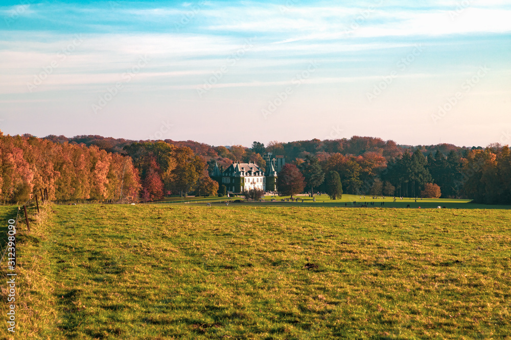 Fototapeta premium House on a background of autumn forest.