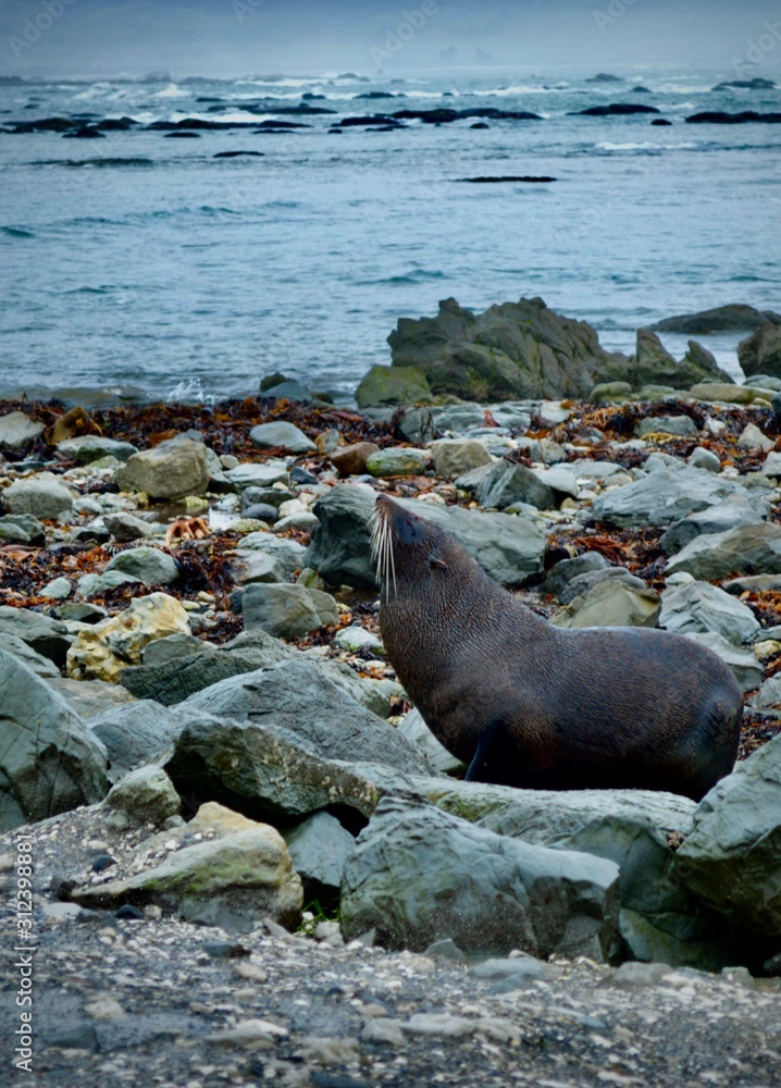 Naklejka premium l'océan nature