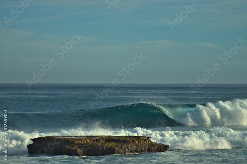 Tropical pristine beaches with powerful barreling waves and surf