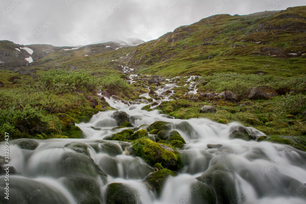 stream in mountains