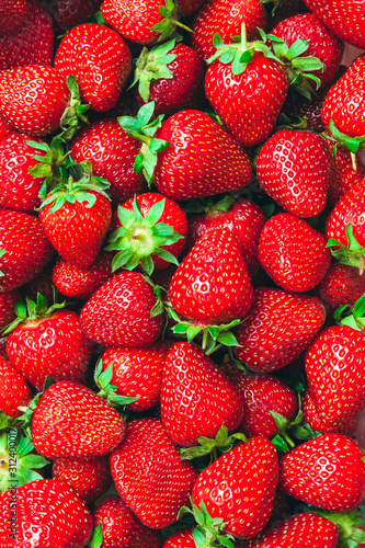 a lot of ripe juicy shiny red strawberries - food background